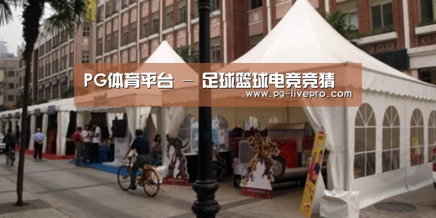 案例标题九