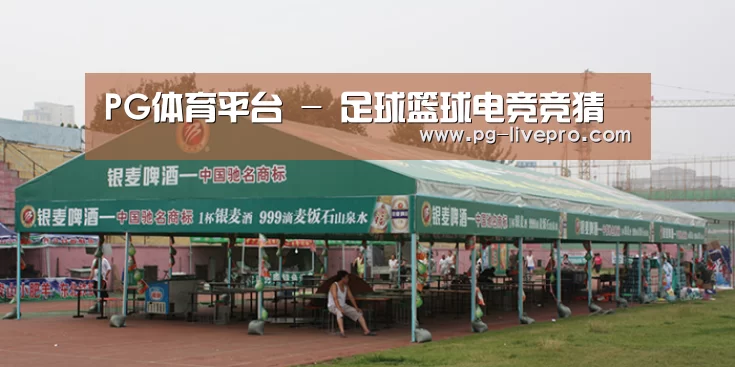 案例标题七