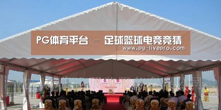 案例标题三
