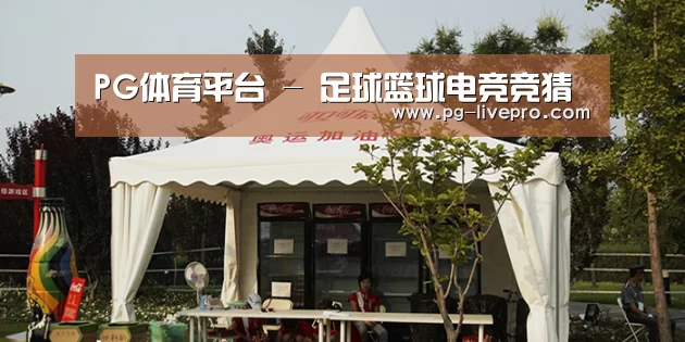 案例标题五