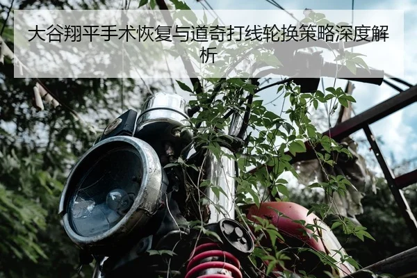 da-gu-xiang-ping-shou-shu-hui-fu-yu-dao-qi-da-xian-lun-huan-ce-lve-shen-du-jie-xi-2-435.jpg