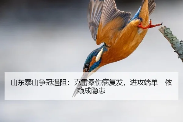 shan-dong-tai-shan-zheng-guan-yu-zu-ke-lei-sang-shang-bing-fu-fa-jin-gong-duan-dan-yi-yi-lai-cheng-yin-huan-2-837.jpg