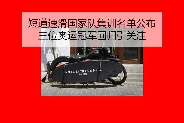 短道速滑国家队集训名单公布 三位奥运冠军回归引关注