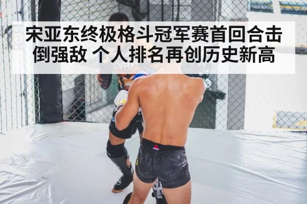 宋亚东终极格斗冠军赛首回合击倒强敌 个人排名再创历史新高